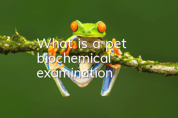 What is a pet biochemical examination?