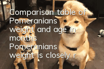 Comparison table of Pomeranian's weight and age in months Pomeranian's weight is closely related to feeding methods