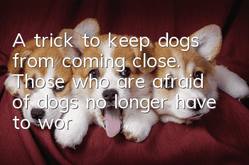 A trick to keep dogs from coming close. Those who are afraid of dogs no longer have to worry about going out!