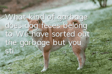 What kind of garbage does dog feces belong to? We have sorted out the garbage, but you still don’t know?