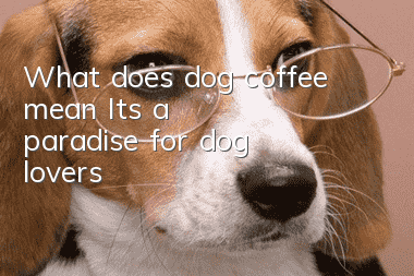 What does dog coffee mean? It’s a paradise for dog lovers!