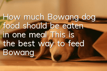 How much Bowang dog food should be eaten in one meal? This is the best way to feed Bowang dog food!