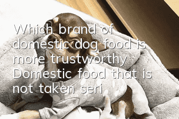 Which brand of domestic dog food is more trustworthy? Domestic food that is not taken seriously is about to make a comeback!