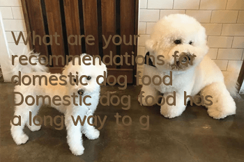 What are your recommendations for domestic dog food? Domestic dog food has a long way to go!