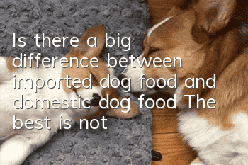 Is there a big difference between imported dog food and domestic dog food? The best is not the same as imported.