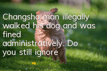 Changsha man illegally walked his dog and was fined administratively. Do you still ignore dog regulations for no reason?