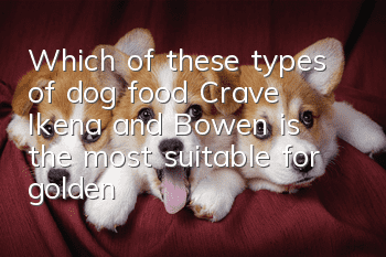 Which of these types of dog food, Crave, Ikena, and Bowen, is the most suitable for golden retrievers?