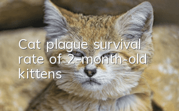 Cat plague survival rate of 2-month-old kittens