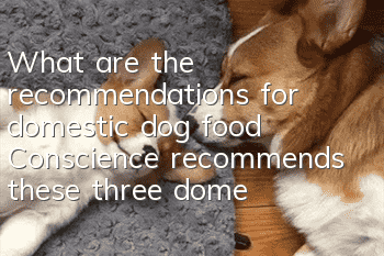 What are the recommendations for domestic dog food? Conscience recommends these three domestic dog foods.