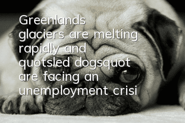 Greenland's glaciers are melting rapidly, and "sled dogs" are facing an unemployment crisis