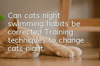 Can cats’ night swimming habits be corrected? Training techniques to change cats’ night swimming habits!