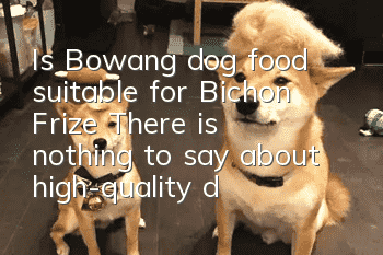 Is Bowang dog food suitable for Bichon Frize? There is nothing to say about high-quality dog food!
