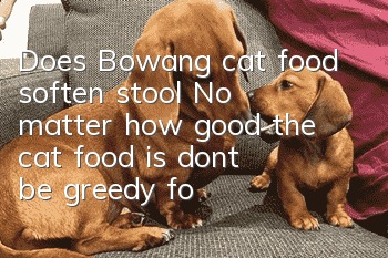 Does Bowang cat food soften stool? No matter how good the cat food is, don’t be greedy for too much