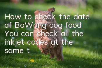 How to check the date of BoWang dog food? You can check all the inkjet codes at the same time!
