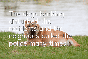 The dog's barking disturbed the residents, and the neighbors called the police many times. The owner of the dog was angered: the state stipulates that the dog must be raised