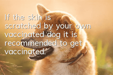 If the skin is scratched by your own vaccinated dog, it is recommended to get vaccinated.