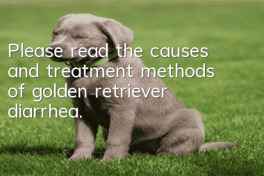 Please read the causes and treatment methods of golden retriever diarrhea.
