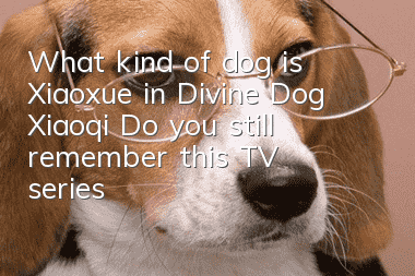 What kind of dog is Xiaoxue in Divine Dog Xiaoqi? Do you still remember this TV series?