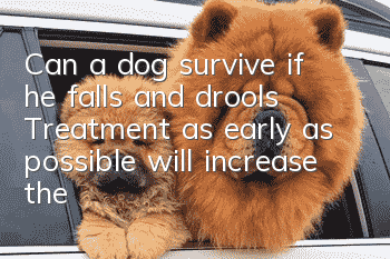 Can a dog survive if he falls and drools? Treatment as early as possible will increase the chance of survival of the dog.