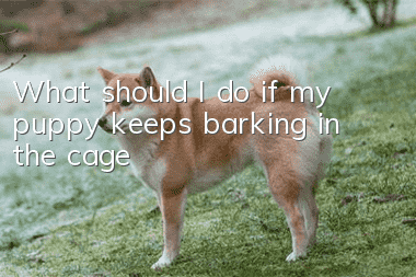 What should I do if my puppy keeps barking in the cage?