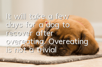 It will take a few days for a dog to recover after overeating. Overeating is not a trivial matter.