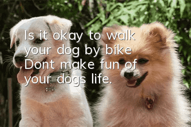 Is it okay to walk your dog by bike? Don’t make fun of your dog’s life.