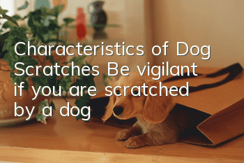 Characteristics of Dog Scratches: Be vigilant if you are scratched by a dog!