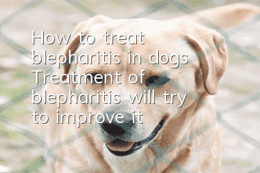 How to treat blepharitis in dogs Treatment of blepharitis will try to improve it