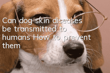 Can dog skin diseases be transmitted to humans? How to prevent them?