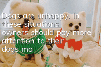 Dogs are unhappy. In these situations, owners should pay more attention to their dogs’ mood.