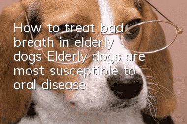 How to treat bad breath in elderly dogs? Elderly dogs are most susceptible to oral diseases