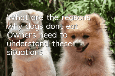 What are the reasons why dogs don’t eat? Owners need to understand these situations