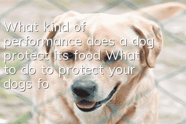 What kind of performance does a dog protect its food? What to do to protect your dog’s food