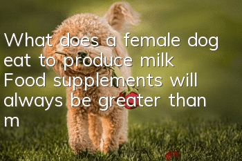 What does a female dog eat to produce milk? Food supplements will always be greater than medicinal supplements!