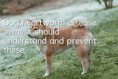 Dog heartworm disease owners should understand and prevent these