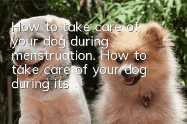 How to take care of your dog during menstruation. How to take care of your dog during its maternal period.