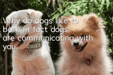 Why do dogs like to bark? In fact, dogs are communicating with you.