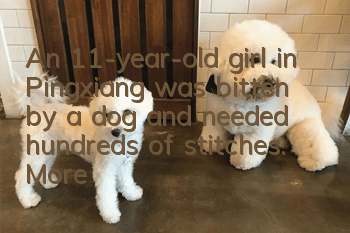 An 11-year-old girl in Pingxiang was bitten by a dog and needed hundreds of stitches. More than 300 people donated money