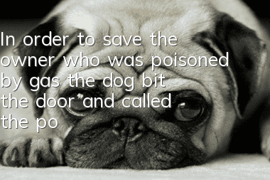 In order to save the owner who was poisoned by gas, the dog bit the door and called the police to rescue him.
