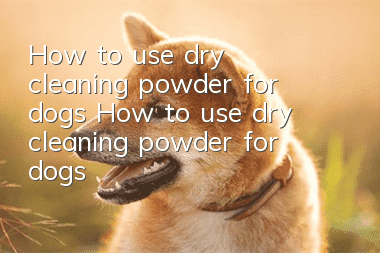 How to use dry cleaning powder for dogs How to use dry cleaning powder for dogs