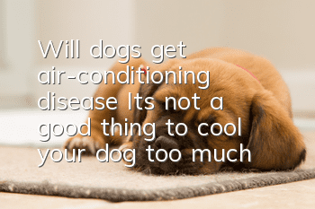 Will dogs get air-conditioning disease? It’s not a good thing to cool your dog too much!