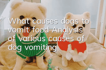 What causes dogs to vomit food? Analysis of various causes of dog vomiting
