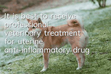 It is best to receive professional veterinary treatment for uterine anti-inflammatory drugs for dogs!
