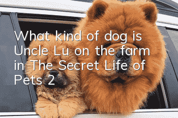 What kind of dog is Uncle Lu on the farm in The Secret Life of Pets 2?