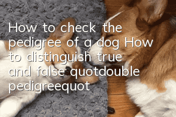 How to check the pedigree of a dog? How to distinguish true and false "double pedigree"
