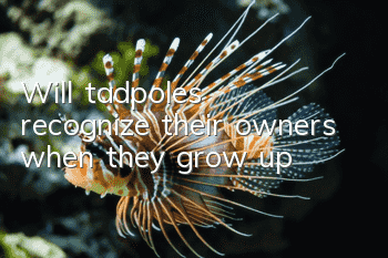 Will tadpoles recognize their owners when they grow up?