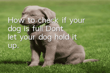 How to check if your dog is full? Don’t let your dog hold it up.