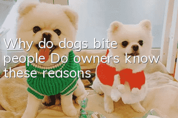 Why do dogs bite people? Do owners know these reasons?