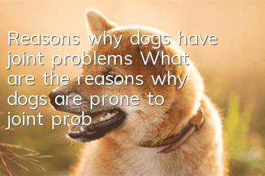 Reasons why dogs have joint problems What are the reasons why dogs are prone to joint problems