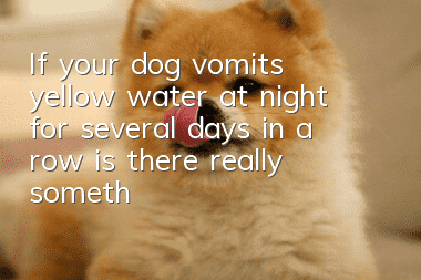 If your dog vomits yellow water at night for several days in a row, is there really something wrong with your care procedures?